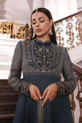 2 Piece Chiffon Embroidered Suit (AP0041)
